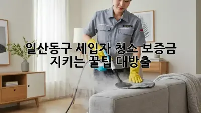 일산동구 세입자 청소🧹, 보증금 지키는 꿀팁🍯 대방출!